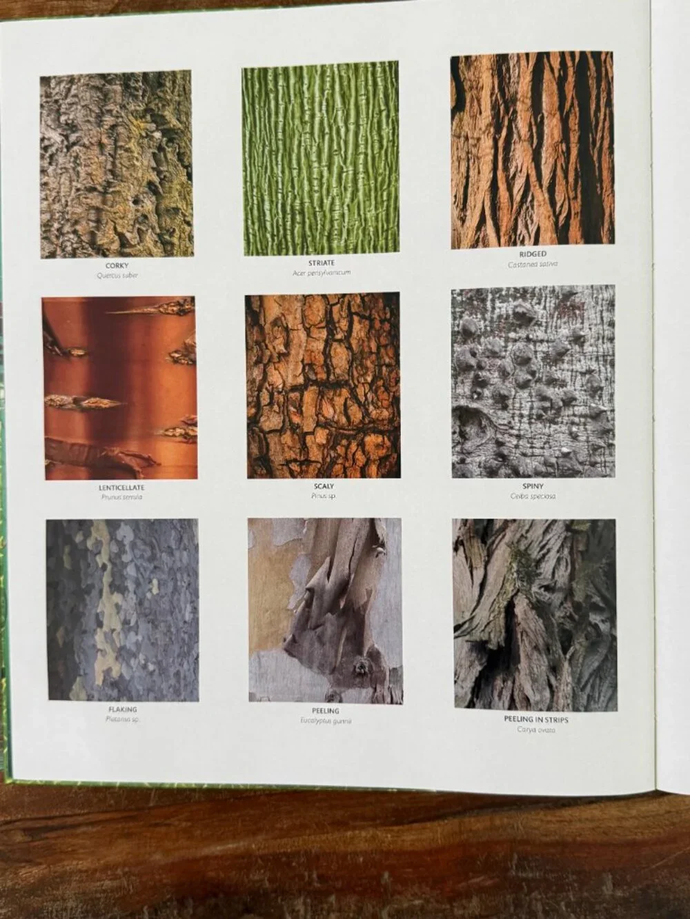 NWOT Smithsonian The Science of Plants Exclusive Edition Hardcover‎ Book
